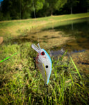 Killer sexy shad-SD